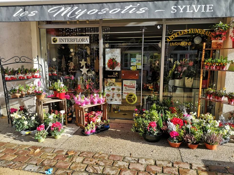 Boutique Les Myosotis Seurre